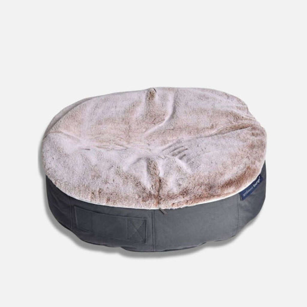 Koiranpeti Supernova Cappuccino S Koiranpeti S