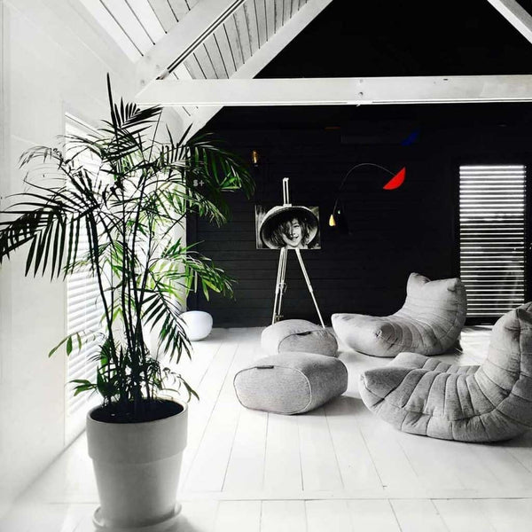 Modernissa, minimalistisessa olohuoneessa, jossa on moderni muotoilu, on valkoiset lattiat ja katto, tumma korostusseinä, harmaat Acoustic Lounge -tuolit, ruukkupalmu ja mustavalkoinen muotokuva. Luonnonvalo virtaa säleikkunoista.