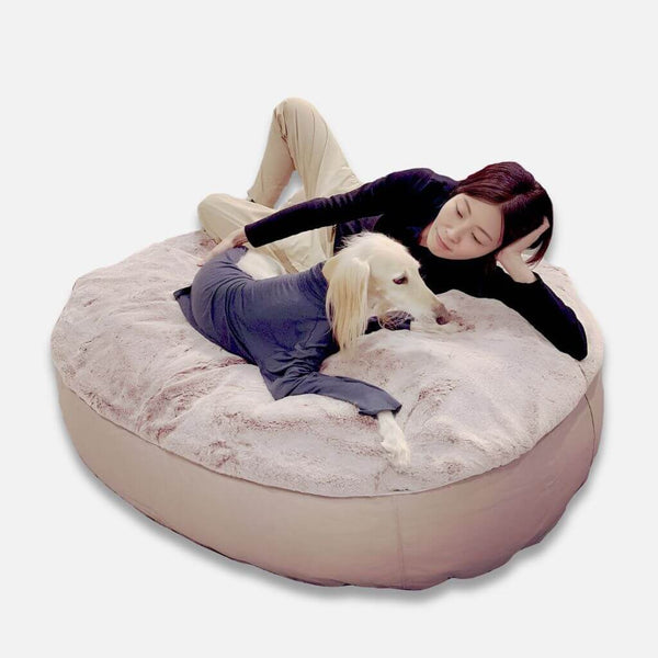 Koiranpeti Sandstorm Cappuccino XL Koiranpeti XL