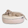 Koiranpeti Sandstorm Thermo Quilt Beige L koiranpeti L
