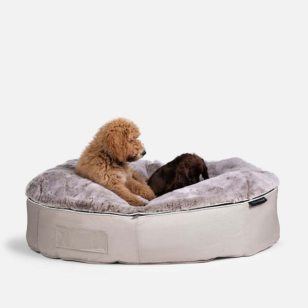 Koiranpeti Sandstorm Cappuccino L Koiranpeti L