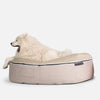 Koiranpeti Sandstorm Thermo Quilt Beige L koiranpeti L