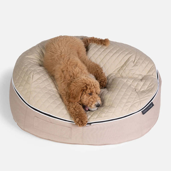 Koiranpeti Sandstorm Thermo Quilt Beige L koiranpeti L