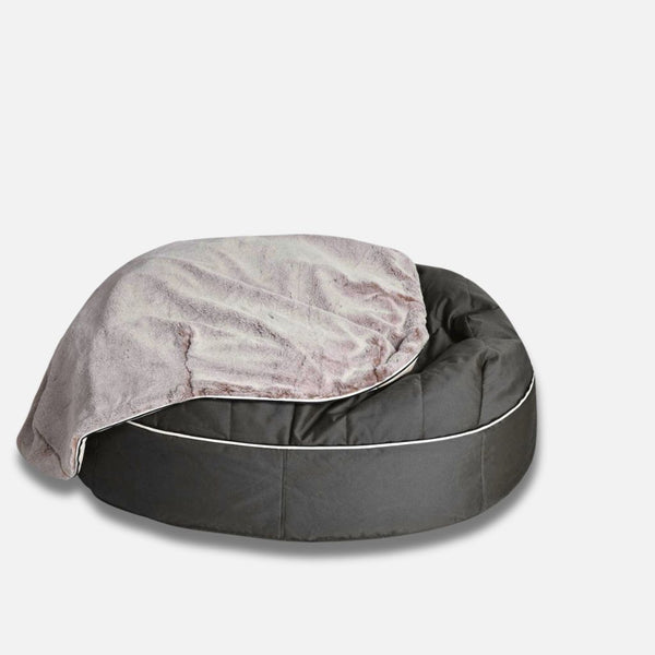 Koiranpeti Supernova Cappuccino XL 