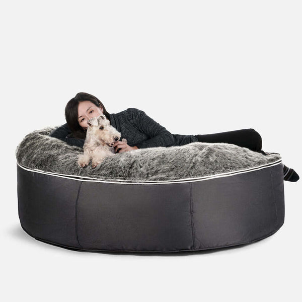 Koiranpeti Supernova Gray Wolf XL Koiranpeti XL