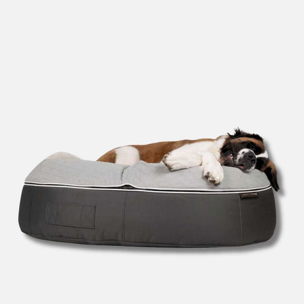 Koiranpeti Supernova ThermoQuilt XL Koiranpeti XL