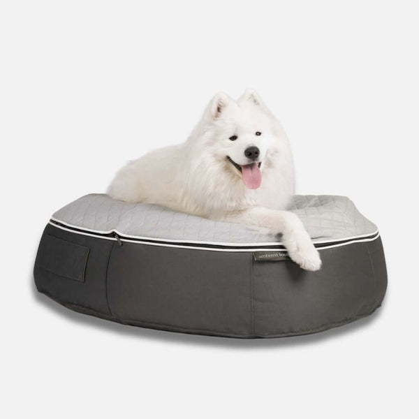 Koiranpeti Supernova ThermoQuilt L Koiranpeti L