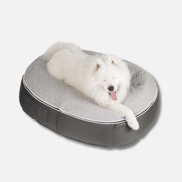 Koiranpeti Supernova ThermoQuilt L Koiranpeti L